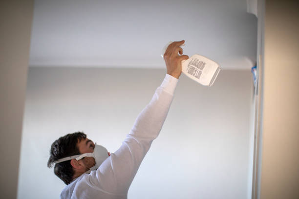 Best Insurance-Related Mold Remediation in South Sarasota, FL