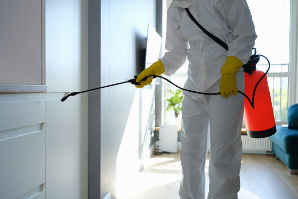 Best Commercial Mold Remediation in South Sarasota, FL