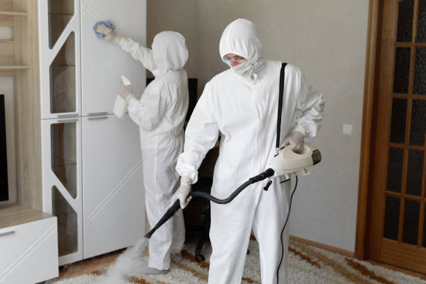 Best Industrial Mold Remediation in South Sarasota, FL